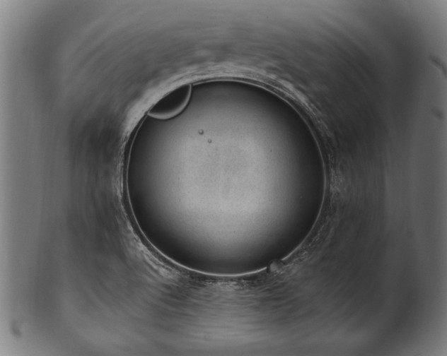 X0000100961512200806241515