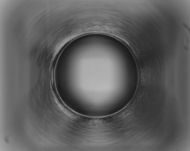 X0000100961515200806241515