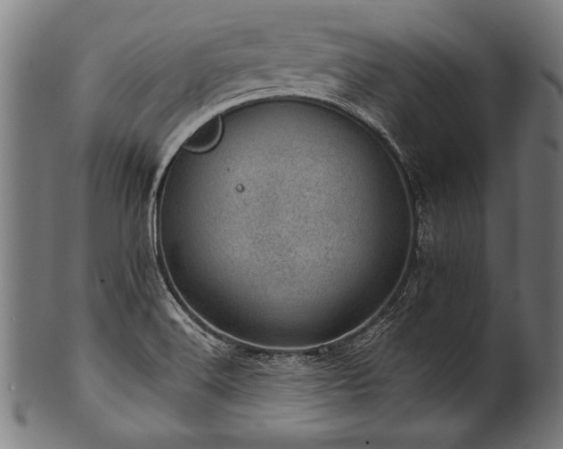 X0000100961516200806241515