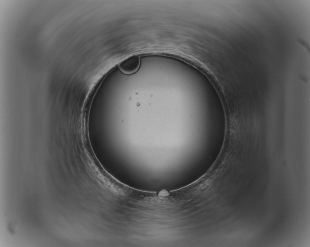 X0000100961517200806241515