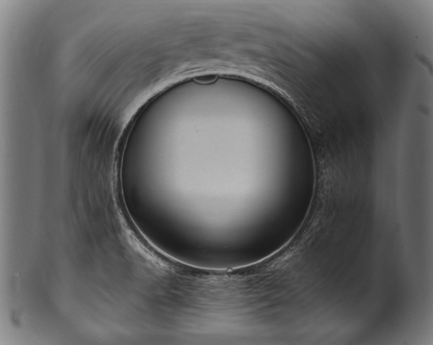 X0000100961518200806241515