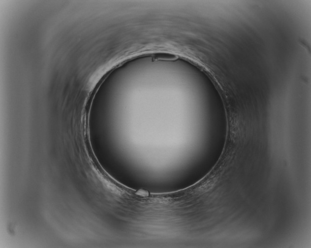 X0000100961519200806241515