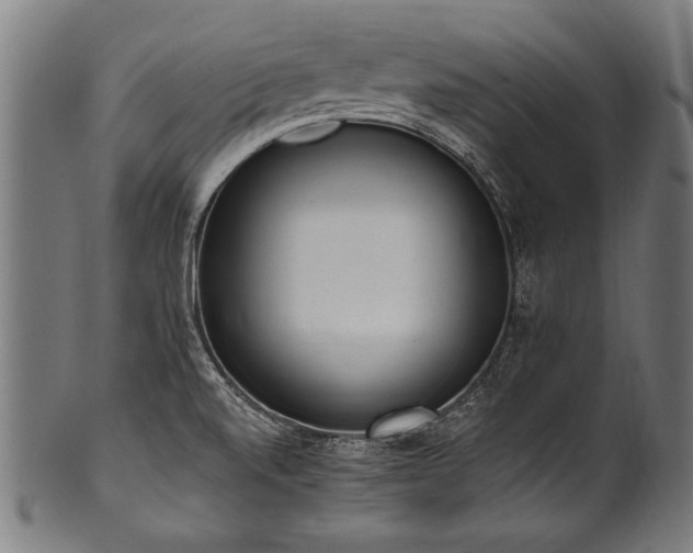 X0000100961520200806241515