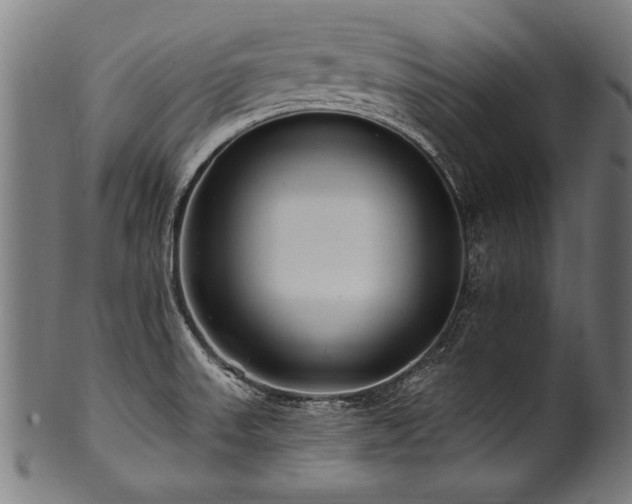 X0000100961523200806241515