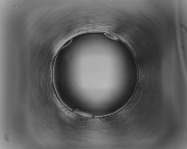 X0000100961524200806241515
