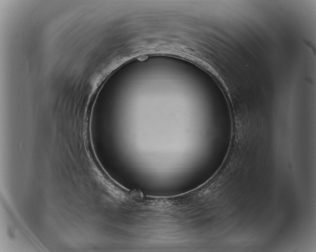 X0000100961525200806241515