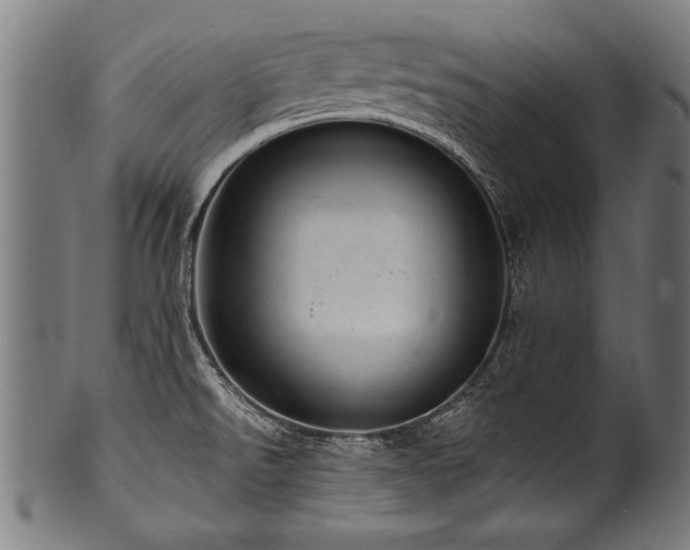 X0000100961526200806241515
