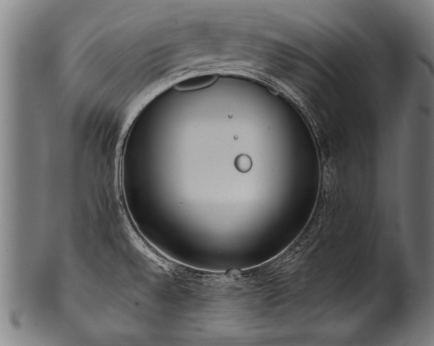 X0000100961528200806241515