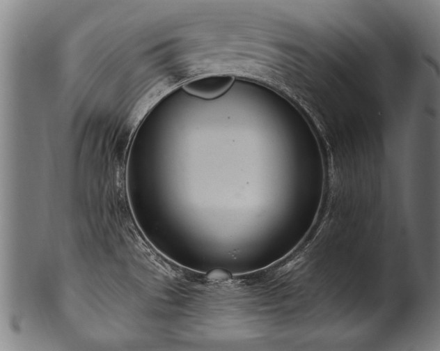 X0000100961529200806241515