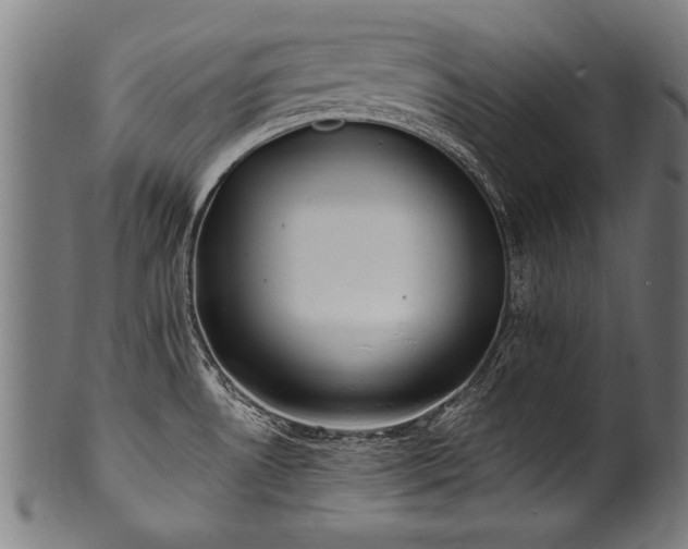 X0000100961530200806241515