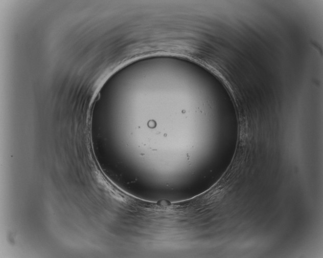 X0000100961532200806241515