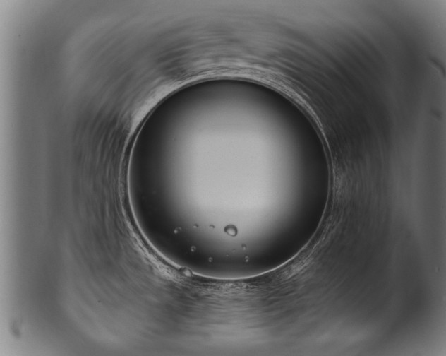 X0000100961533200806241515