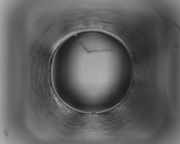 X0000100961534200806241515