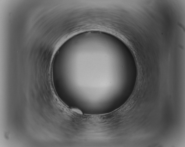 X0000100961536200806241515