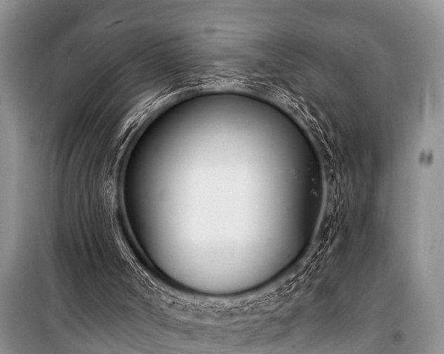 X0000100960002200807011343