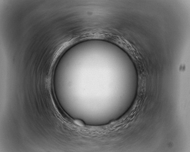 X0000100960003200807011343