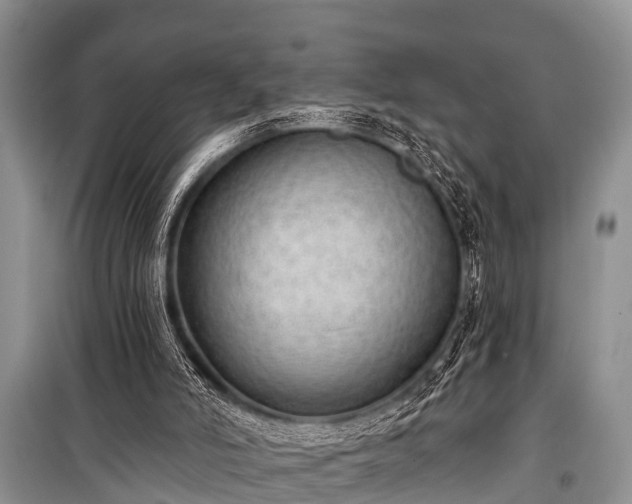 X0000100960006200807011343