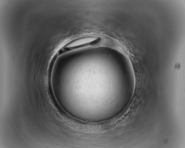 X0000100960008200807011343