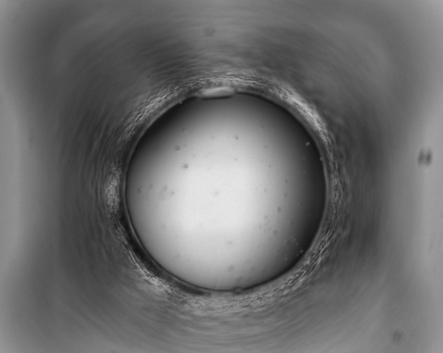 X0000100960009200807011343