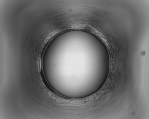 X0000100960011200807011343