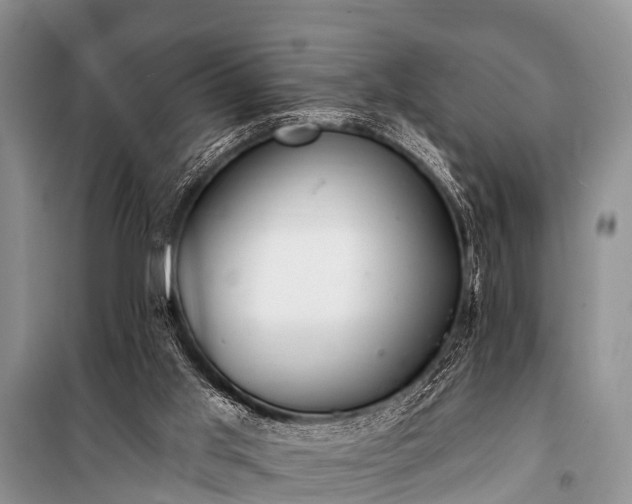 X0000100960013200807011343