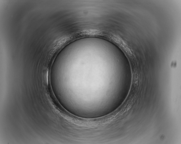 X0000100960014200807011343