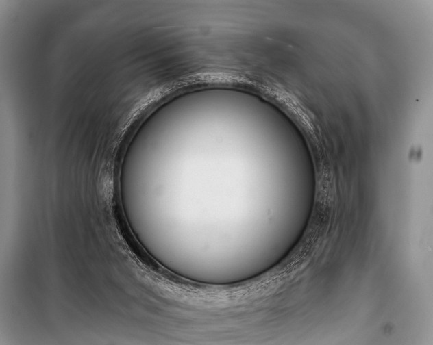 X0000100960015200807011343