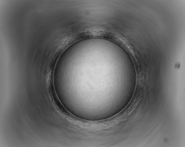 X0000100960018200807011343