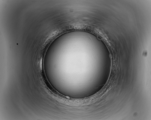 X0000100960019200807011343