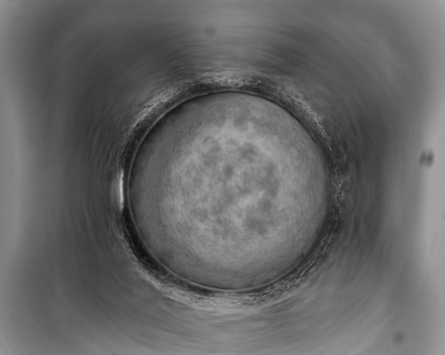 X0000100960020200807011343