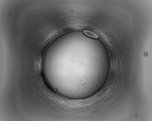 X0000100960023200807011343