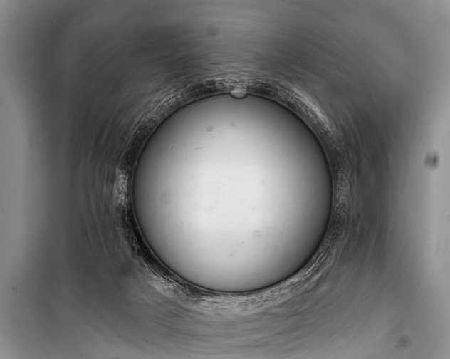 X0000100960025200807011343
