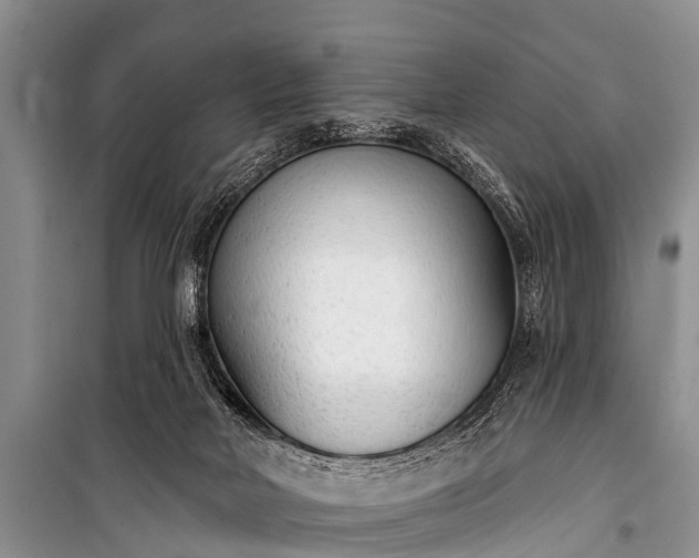 X0000100960026200807011343