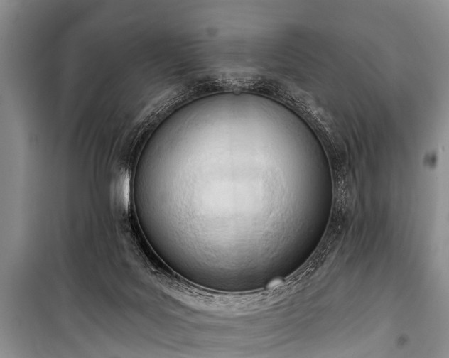 X0000100960027200807011343