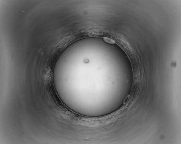 X0000100960029200807011343