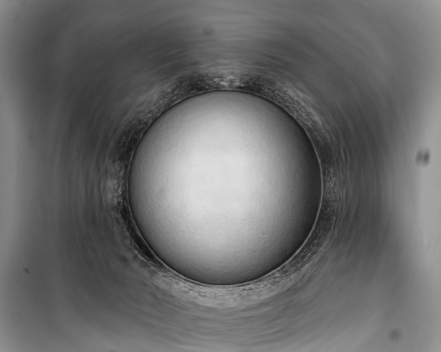 X0000100960030200807011343