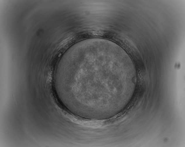 X0000100960032200807011343