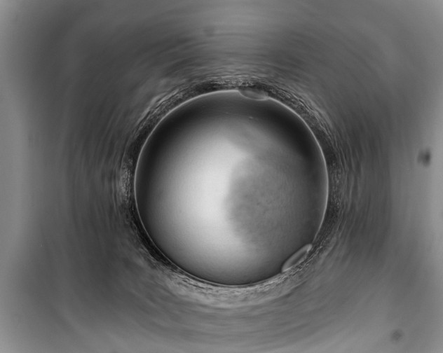 X0000100960035200807011343