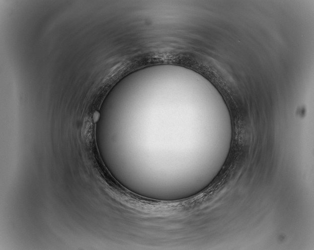X0000100960036200807011343