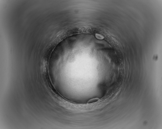 X0000100960038200807011343