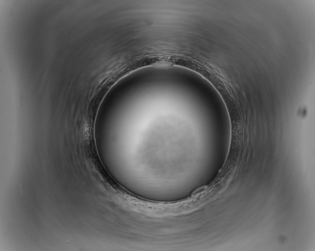 X0000100960039200807011343