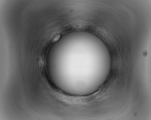 X0000100960040200807011343