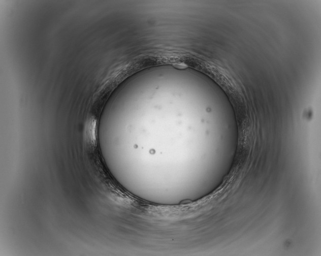 X0000100960041200807011343