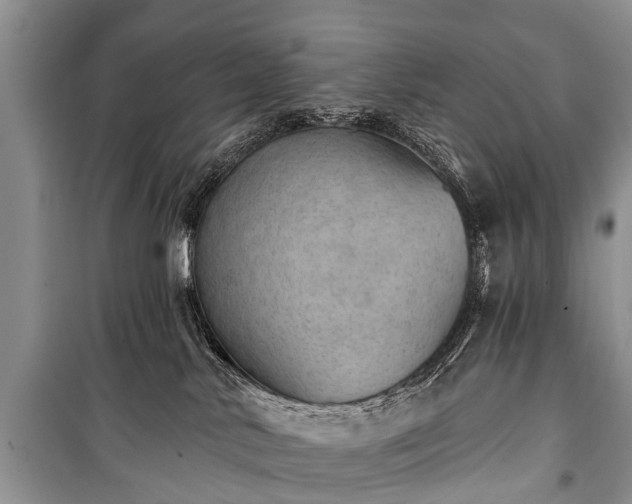 X0000100960042200807011343