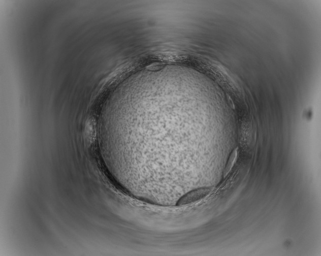 X0000100960043200807011343