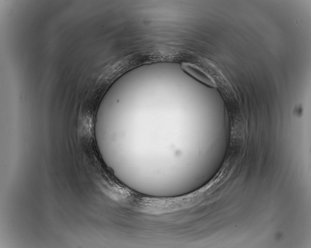 X0000100960045200807011343