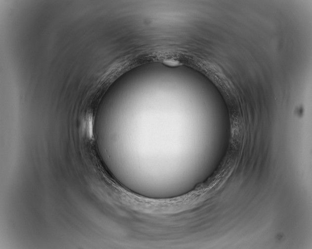 X0000100960046200807011343
