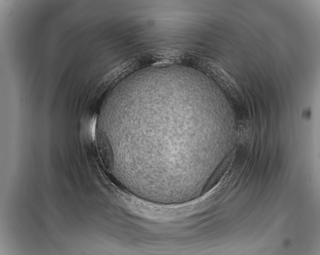 X0000100960047200807011343