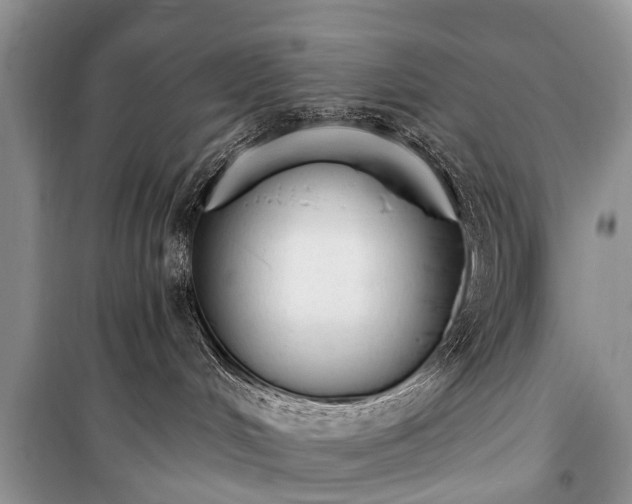X0000100960048200807011343