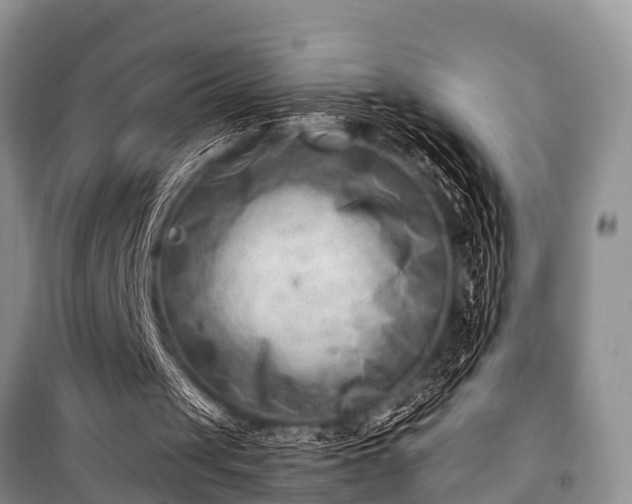 X0000100960049200807011342